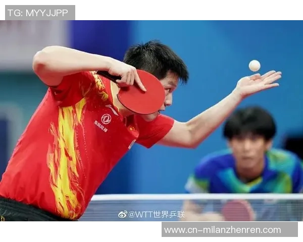 2026年3月份新闻杭州乒乓球队表现优异最新乒乓球状态TOP10榜单揭晓